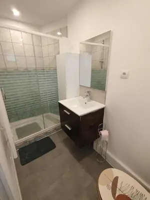 a bathroom with a sink and a shower at T2 Au pied de la passerelle in Mazamet