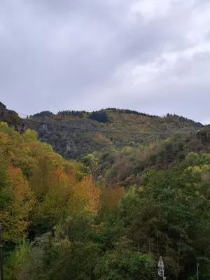 a view of a hill with trees on it at T2 Au pied de la passerelle in Mazamet