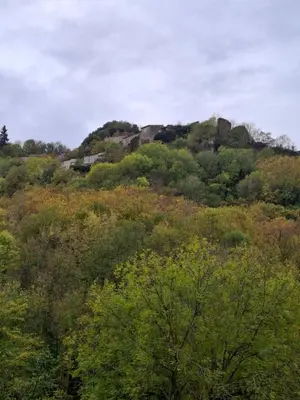a hill with trees and a house on top of it at T2 Au pied de la passerelle in Mazamet