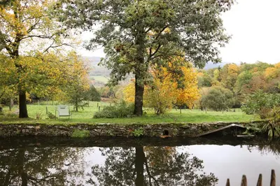 a reflection of trees in the water in a park at Le Refuge de Bruno in Saint-Amans-Soult