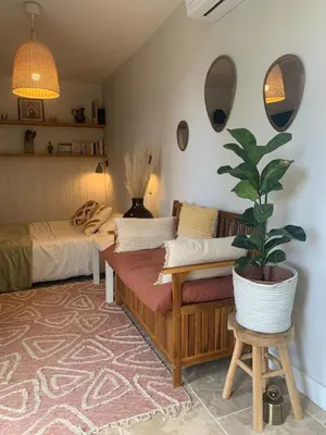 a living room with a couch and a potted plant at Studio Cosy en Conteneur-Maritime in Tabre
