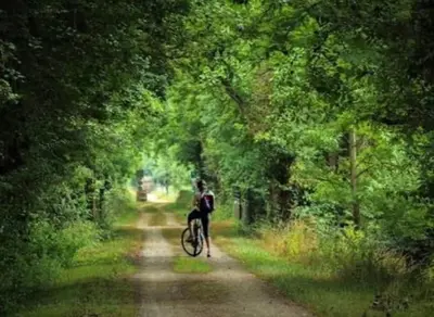 a person riding a bike down a dirt road at Studio Cosy en Conteneur-Maritime in Tabre