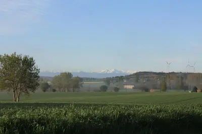 a field of green grass with windmills in the background at L'Oustal d'en Paris in Nogaret