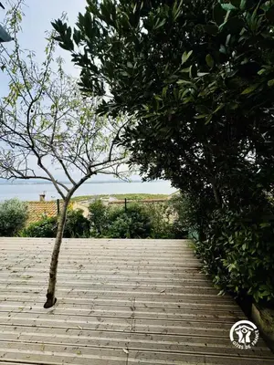 a wooden path with a tree on top of it at La maisonnette in Bages