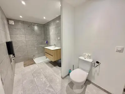 a bathroom with a toilet and a sink at Logement en souplexe indépendant dans une propriété in Castres