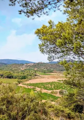 a view of a field from a tree at Villa with private pool and panoramic view in Félines-Minervois