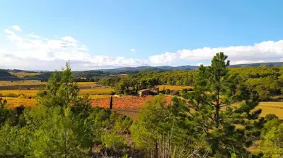 a view of a field with trees and mountains at Villa with private pool and panoramic view in Félines-Minervois