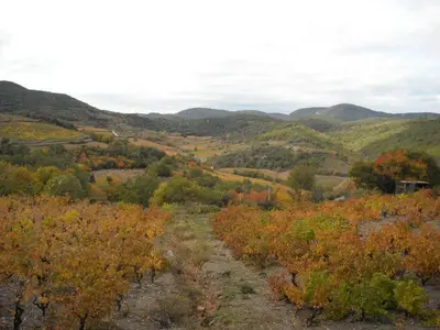 a view of a field with trees and mountains at Apartment for 2 in Embres in Embres-et-Castelmaure