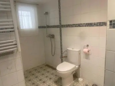 a small bathroom with a toilet and a shower at Apartment for 2 in Embres in Embres-et-Castelmaure