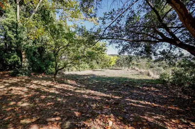 a field with trees and leaves on the ground at Chateau st-auriol - magnanerie in Lagrasse