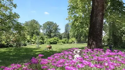 a dog sitting in the middle of a field of flowers at Gite Charles de Castres in Saint-Affrique-les-Montagnes