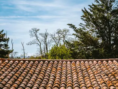 a roof of a house with trees in the background at D'une maison à l'autre in Cépie