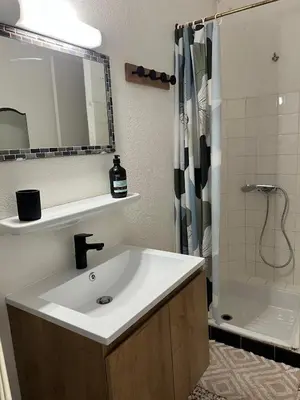 a bathroom with a sink and a shower at Appartement bord de mer in Port-la-Nouvelle