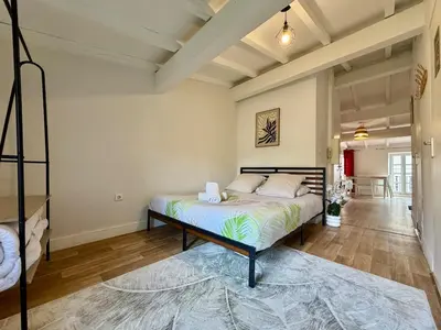 a bedroom with a bed in a room at L'Etoile Rouge - T2 Proche Gare et Centre Ville in Carcassonne