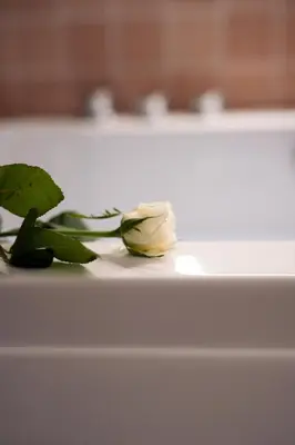 a white rose sitting on top of a white table at l'écrin du désir in Capestang