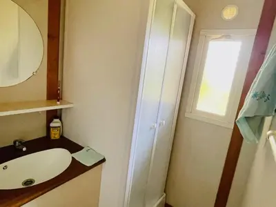 a bathroom with a sink and a mirror and a window at Chalet avec Terrasse à Camon - API-1-52-902 in Camon