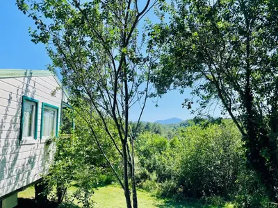 a tree next to a house in the woods at Chalet cosy avec terrasse pour 4 personnes - API-1-52-919 in Camon