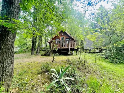 a log cabin in the middle of a forest at Chalet 18m², Terrasse sur Pilotis, 4 Personnes - API-1-52-927 in Camon