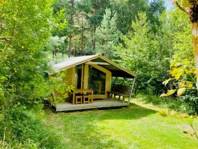 a gazebo in the middle of a forest at Chalet de 26m² avec Terrasse pour 4 Personnes - API-1-52-1070 in Camon