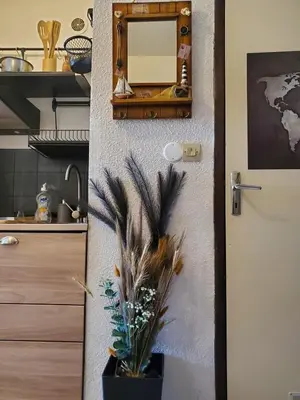 a plant in a pot next to a door in a kitchen at Studio Horizon - Parking Commerces Plage in Port-la-Nouvelle