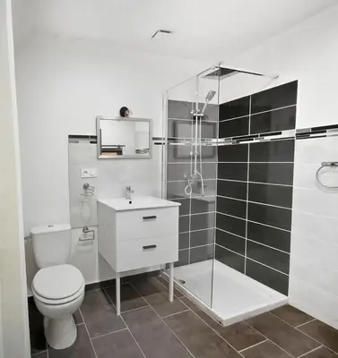 a bathroom with a toilet and a shower and a sink at Suite Privative Design au Cœur de Trèbes in Trèbes