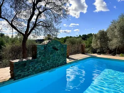 a swimming pool with a stone wall next to a tree at Mas Sarava - Retraite détente - Pilates et Massage in Espira-de-lʼAgly