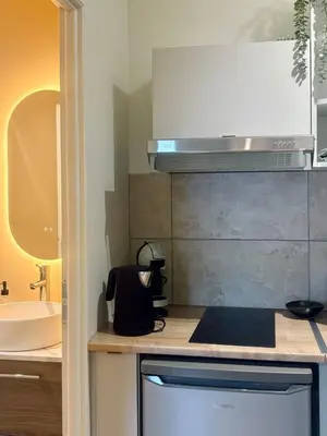 a bathroom with a shower and a toilet and a sink at Le Jardin, studio façon nature in Castres