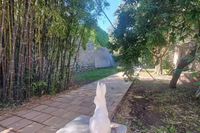 a white rabbit sitting on a brick path at L'amandier - Maison avec jardin sans vis à vis in Port-la-Nouvelle