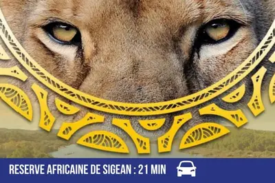 a close up of a lion wearing a yellow scarf at Gîte Studio Les Ecureuils in Narbonne