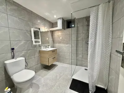 a bathroom with a toilet and a shower and a sink at Grand logement en souplex entier in Castres