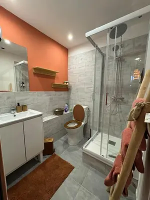 a bathroom with a shower and a toilet and a sink at Un duplex pas comme les autres in Carcassonne