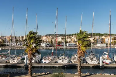 a group of boats docked in a marina with palm trees at Studio cosy au bord du port à proximité de tout commerce in Gruissan