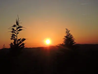 a sunset with two trees in the foreground at Gîte Au Coeur Du Pays Cathare in Fanjeaux