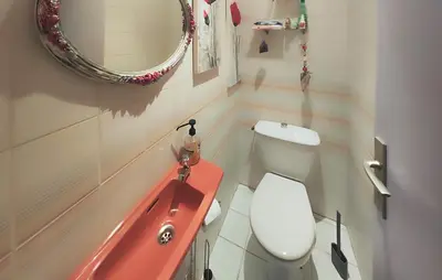a bathroom with a toilet and a sink and a mirror at Un Veritable Havre De Paix in Roquebrun