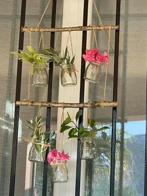 a group of flowers in glass jars on a branch at Les hauts d'Embres havre de paix pour 8 in Embres-et-Castelmaure