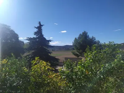 a view of a field through the trees at Studio terrasse au calme près de Narbonne in Montredon