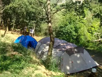 a group of tents in the grass near trees at Mobil home 6 pers avec terrasse à Fenouillet - API-1-52-314 in Fenouillet