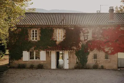a house with ivy growing on the side of it at Domaine de Hauterive in Pont-de-Larn