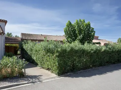 a row of bushes in front of a house at P Minervois L N02 Villa 3P6 in Homps