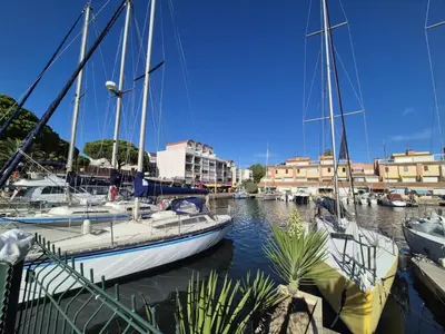 a group of boats are docked in a marina at Les pieds dans l'eau Studio Cabine terrasse, refait à neuf 5 minutes plage à pied climatisé in Gruissan