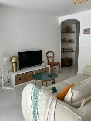 a living room with a couch and a tv at La Casita du Canal in Castelnaudary