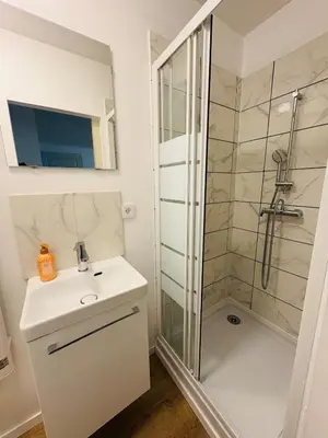 a bathroom with a shower and a sink at La coloc' l 3 Chambres avec salle de bain & TV in Castres