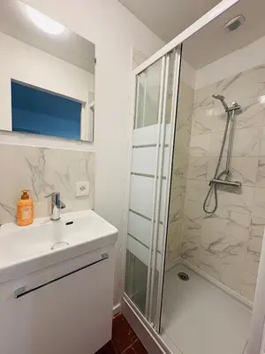 a bathroom with a shower and a sink at La coloc' l 3 Chambres avec salle de bain & TV in Castres