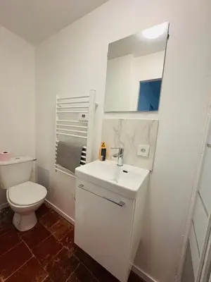a white bathroom with a toilet and a sink at La coloc' l 3 Chambres avec salle de bain & TV in Castres