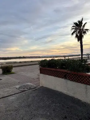 a palm tree sitting next to a beach with the ocean at Pavillon moderne & spacieux - accès direct plage in Gruissan