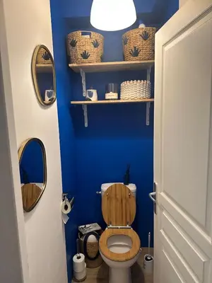 a bathroom with a toilet with a blue wall at Maison narbonne in Narbonne