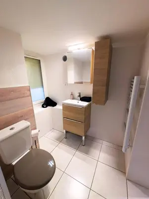 a small bathroom with a toilet and a sink at Le Cocon de Pezens - Studio au centre du village in Pezens