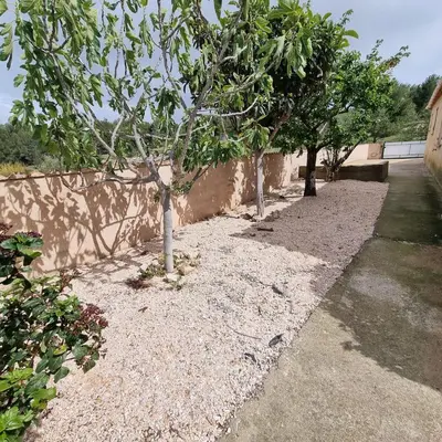 a large green bush next to a fence at villa familiale piscine privé sans vis à vis in Bages