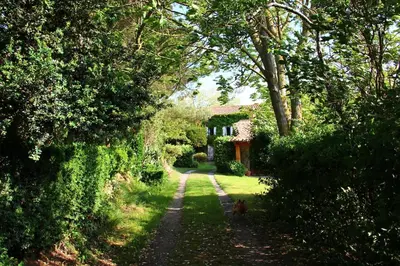 a dog walking down a road in front of a house at Small artist's house I Petite maison d'artiste in Saint-Michel-de-Lanès