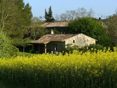 an old house in a field of yellow flowers at Small artist's house I Petite maison d'artiste in Saint-Michel-de-Lanès